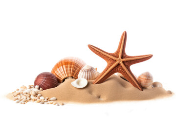 Fototapeta na wymiar shells and starfish on sand isolated on transparent background