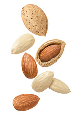Flying almond in shell isolated on white background. Blanched nuts. - obrazy, fototapety, plakaty
