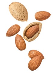 Falling almonds in shell isolated on white background. Vertical layout