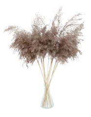  Dry decorative pampas grass in a glass vase, isolated on transparent background © rvlsoft