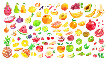 Watercolor illustration collection of fruit - obrazy, fototapety, plakaty