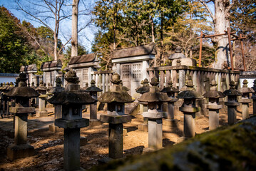 埼玉県　川越大師喜多院　松平大和守家廟所内に並んだ石塔