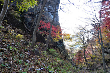 Climbing  Mount Iwabitsu, Gunma, Japan