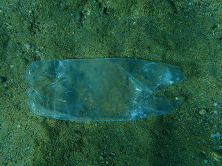 Plastic bottle underwater, Aegean Sea, Greece, Halkidiki. Sea pollution.
