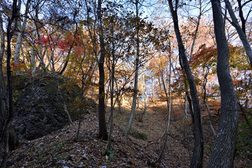 Climbing  Mount Iwabitsu, Gunma, Japan