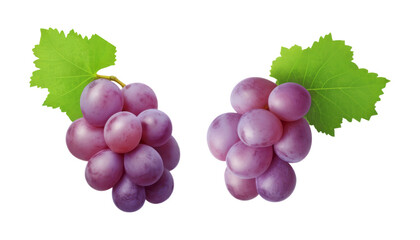 Fototapeta premium bunch of grapes isolated on transparent background cutout