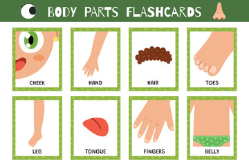 Body parts flashcards collection. Flash cards for practicing reading skills. Learn vocabulary for school and preschool. Hand, tongue, leg and more. Vector illustration - obrazy, fototapety, plakaty