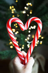 Fototapeta premium Two heart-shaped candycanes on a background of a Christmas tree