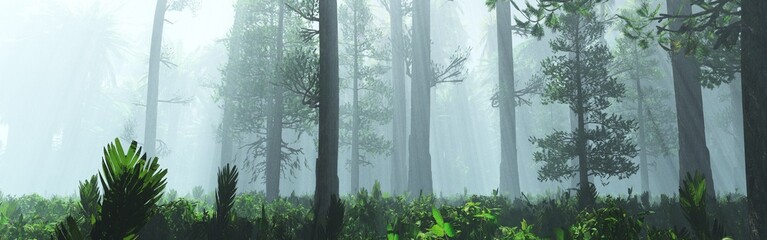 Forest in fog, trees in haze, morning park, 3D rendering