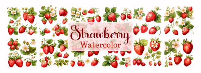 Fotobehang Strawberry watercolor collection set fruit Vegetable fresh fruit summer isolated on white background vector illustration © Woeng Studio
