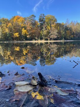 strausberg, wandern, waldweg, berlin