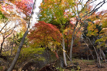 Climbing  Mount Iwabitsu, Gunma, Japan