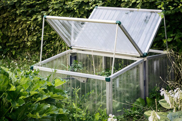 Mini Greenhouse or Small Glasshouse Outside for Growing Vegetable Seedlings. Planting and Growth Vegetables. Home Gardening Concept. 