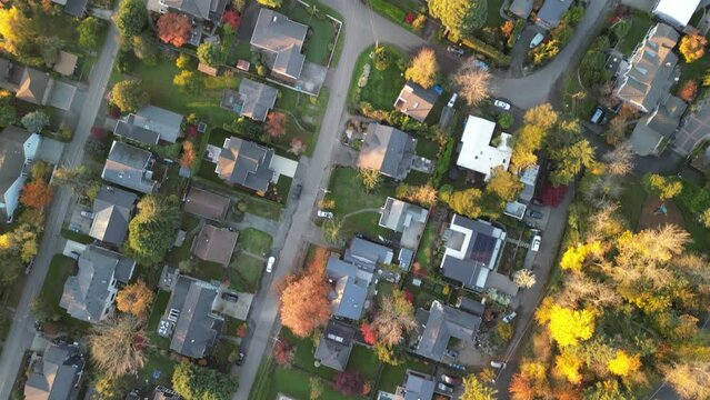 Cozy Residential Neighborhood with Autumnal Trees
