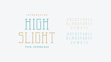 Modern thin slab serif display typeface design set. Vector illustration of typography alphabet.