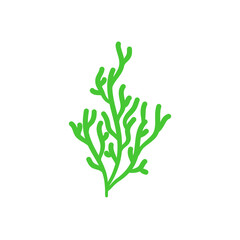 Underwater sea plants