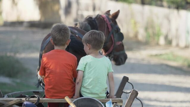 Two little brothers sit in the cart pulled by horse at countryside