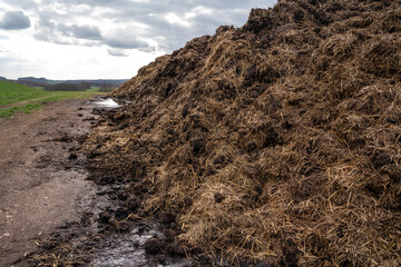 Organic fertilizer in agriculture field in the countryside