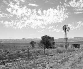Karoo landscape in black & white
