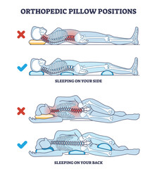 Orthopedic pillow positions with sleeping on side and back outline diagram. Labeled educational poses with good, correct and healthy example comparison to wrong vector illustration. Curved backbone. - obrazy, fototapety, plakaty
