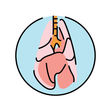 recommend clip art: Lungs of the dog color line icon. Organisation in organism.