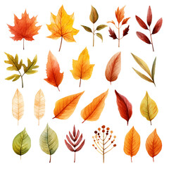 Obraz premium Pretty watercolour autumnal leaves. This is a png file with a transparent background.
