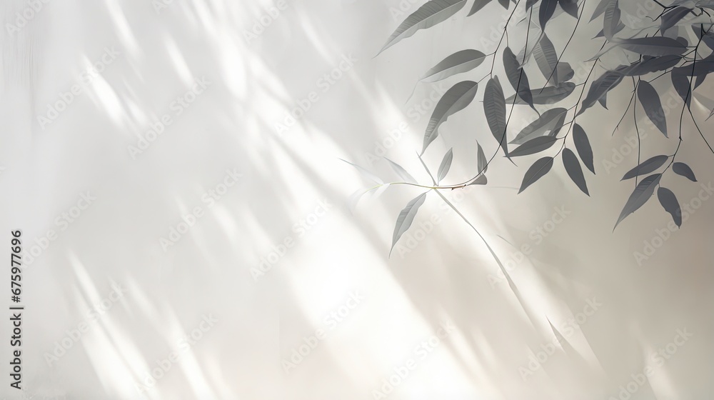 Sticker leaf shadow and light on wall blur background. nature tropical leaves tree branch plant shade sunlig