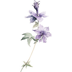 watercolor purple larkspur flower