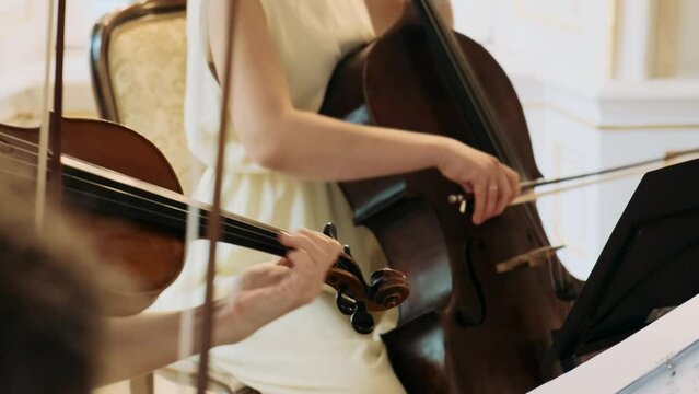 playing violin and cello at an event