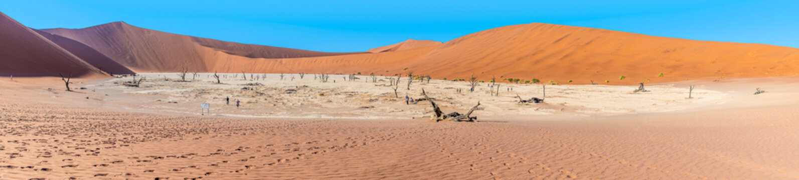 A wide angle view of the dead valley in Sossusvlei, Namibia in the dry season