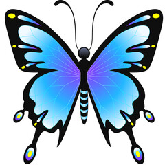Butterfly on a white background. Vector illustration for your design.