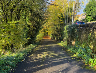 Naklejka premium Narrow rural lane, with old trees, stone walls, wild plants, and autumn leaves in, Stump Cross, Halifax, UK