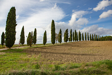 Famous Tuscany landscape with curved road and cypress, Italy, Europe. Rural farm, cypress trees, green field, sunlight and cloud. 