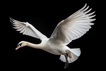 Tragetasche Flying swan on black background © Veniamin Kraskov