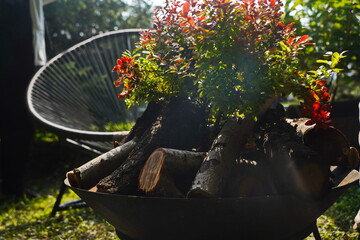 Logs collected in a metal bowl with an ornamental plant.