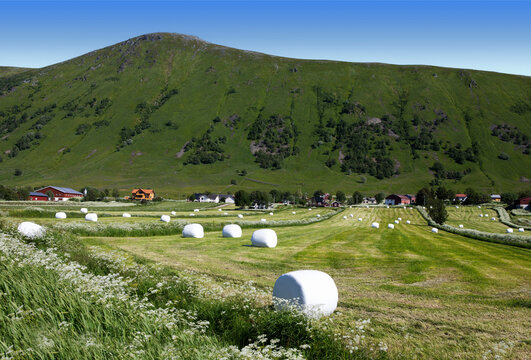 starw bales