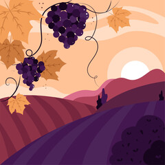 Rural landscape with fields, evening landscape, vineyard, planting grapes, wine, winemaking, winery, outdoor recreation, countryside