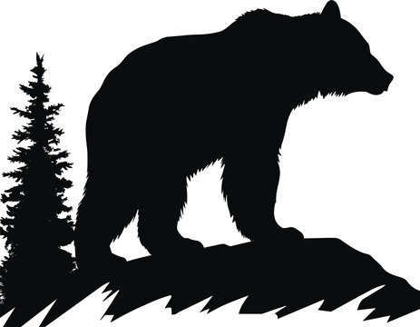 ack bear illustration. bear silhouette. Minimalist and Flat Logo. Isolated vector image, head bear logo vector, animal theme, wildlife logo.