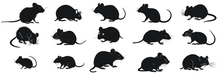 Black mouse illustration. Set mouse silhouette. Minimalist and Flat Logo. Isolated vector image, animal theme, wildlife logo. - obrazy, fototapety, plakaty