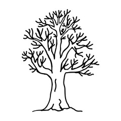 Hand drawn tree without leaves isolated on white background. Vector illustration in doodle style.