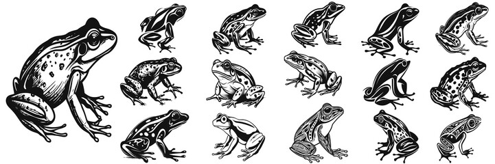 Black frog illustration. Set frog logo black simple flat icon. Minimalist and Flat Logo. Isolated vector image, head frog logo vector, animal theme, wildlife logo. - obrazy, fototapety, plakaty