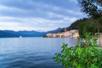 Naklejka premium A bush of greenery and flowers on the shores of Lake Como in Italy against the backdrop of the city