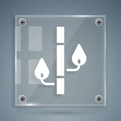 White Bamboo icon isolated on grey background. Square glass panels. Vector