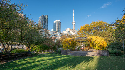 The view of Toronto CN Tower from the Music Garden park down town area with autumn colors foliage at harbourfront