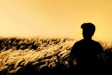 Back view of silhouette traveler standing alone and looking at beautiful sunset on the kash flowers feild  with light orange sky in background. Man and his shadow watch the sunset moment 