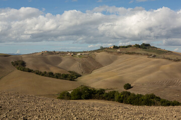 Harvested Fields and meadows landscape in Tuscany, Italy. Wavy country scenery at autumn sunset. Arable land ready for the agricultural season.