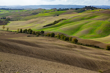 Fototapeta na wymiar Harvested Fields and meadows landscape in Tuscany, Italy. Wavy country scenery at autumn sunset. Arable land ready for the agricultural season.