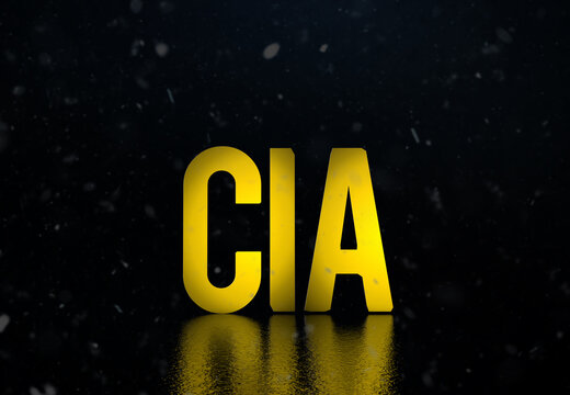 Central Intelligence Agency - Visual Presentation, Social Media Background (3D Render)