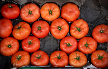 Close-up of large, bright red tomatoes arranged in order on a box in a display in a market of artisan and street food typical of the Mediterranean diet.