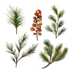 Scandinavian Christmas Watercolor Elements, without background in PDF format